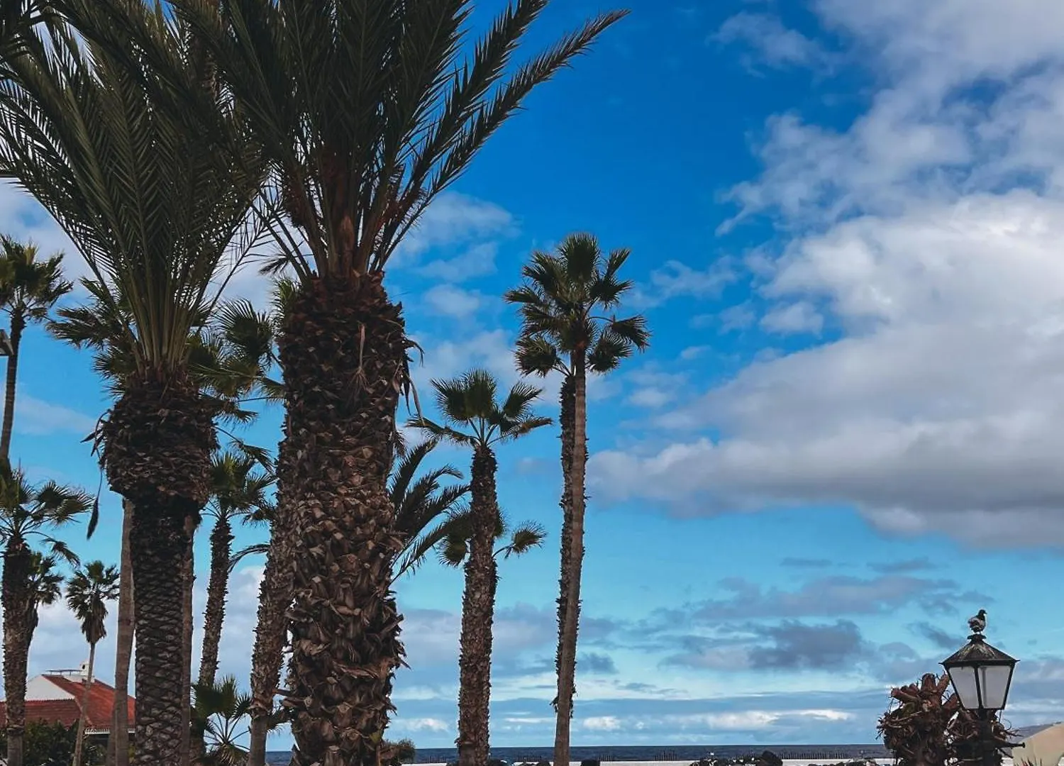 Apartmán Casa Flor Puerto de la Cruz   Puerto de la Cruz (Tenerife)