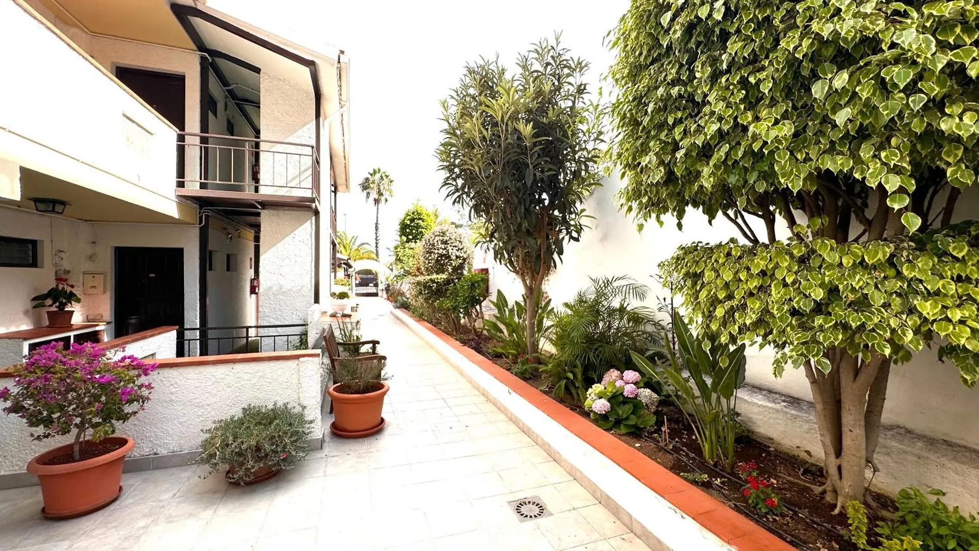 Apartmán Casa Flor Puerto de la Cruz  0*, Puerto de la Cruz (Tenerife) Španělsko